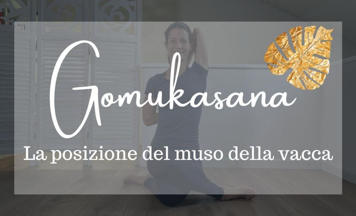 gomukasana posizone muso della vacca yoga